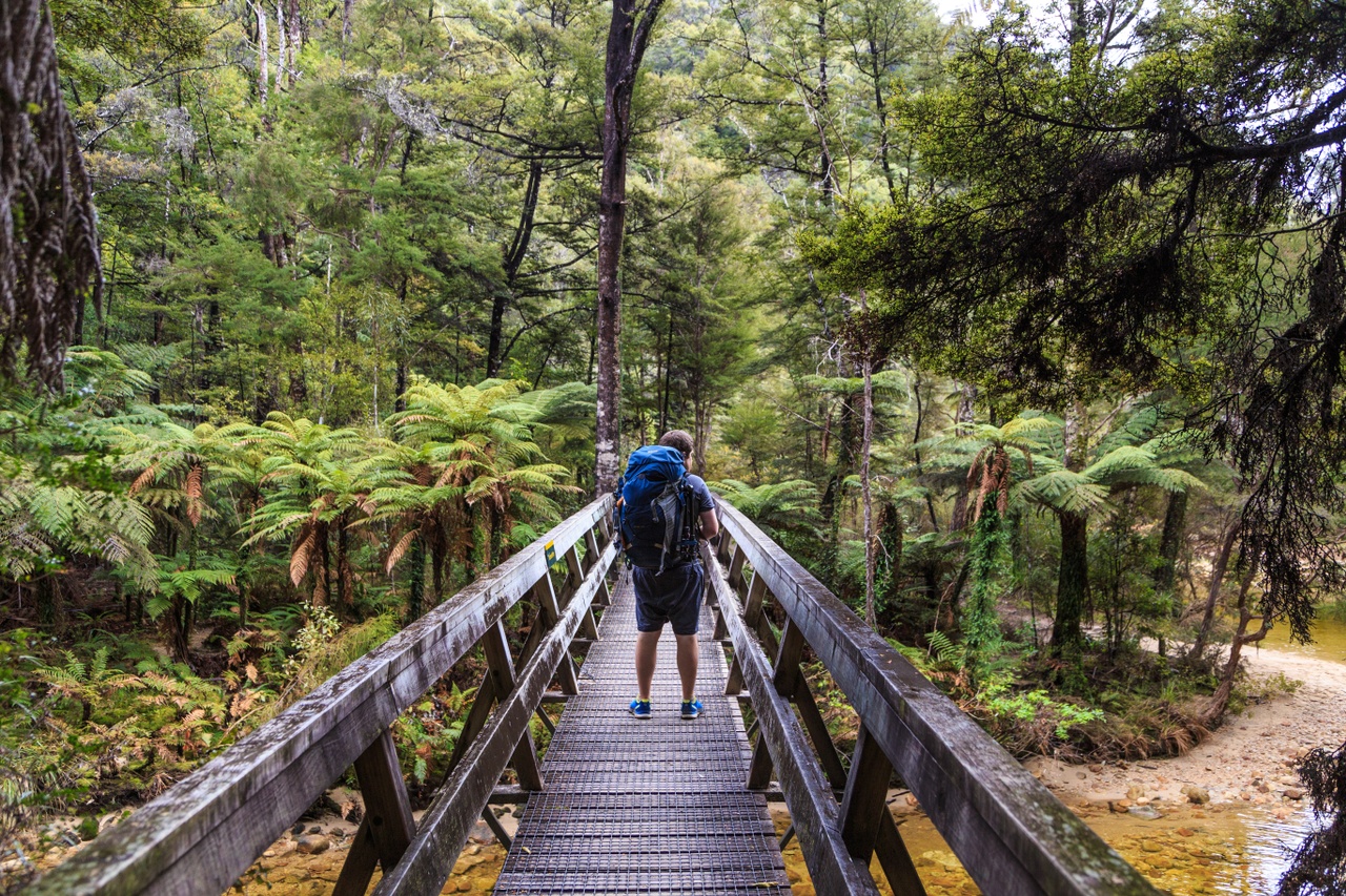 hiker-crossing-bridge-on-abel-tasman-coast-track.jpg